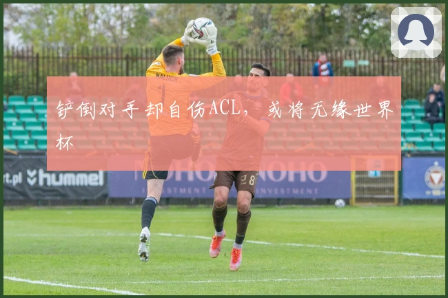 铲倒对手却自伤ACL，或将无缘世界杯